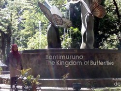 Melihat Kerajaan Kupu-kupu di Taman Nasional Bantimurung, Maros