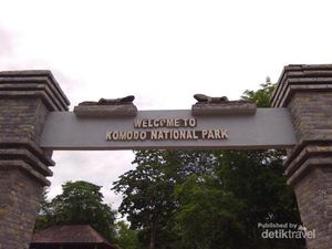 Melihat Komodo dari Dekat, Rasanya...