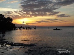Melihat Mangrove Menari di Pantai Walakiri Sumba