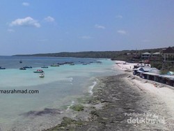 Melihat Penangkaran Penyu di Tanjung Bira