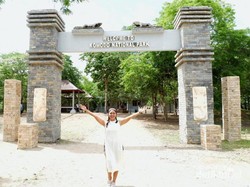 Melihat Si Naga Purba Lebih Dekat