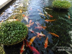 Memaknai Pentingnya Air di NEWater Singapura