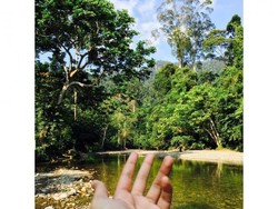 Menaklukkan Alam Liar di Tangkahan, Sumatera Utara