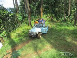 Menantang Adrenalin di Perkebunan Teh Kulon Progo