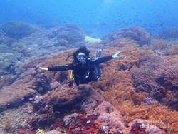 Menantang Arus di Mangrove Nusa Lembongan, Bali