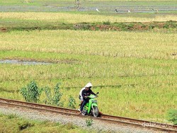 Menantang Bahaya, Naik Motor di Rel Kereta