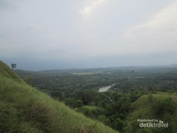 Menapaki Permadani Hijau di Bukit Jalin, Aceh