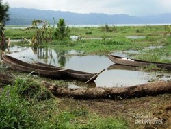 Mencari Ketenangan di Bali, Danau Buyan Pilihannya