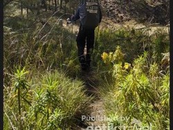 Mendaki Gunung Arjuno Saat Musim Hujan, Begini Caranya
