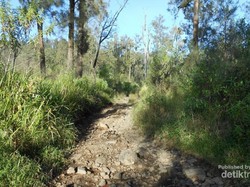 Mendaki Gunung Welirang, Siapa Takut?