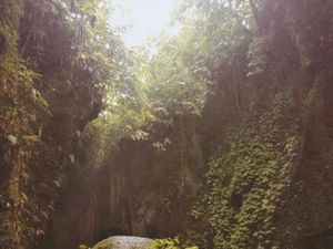 Menelisik Kembali Kenangan Perjalanan di Ubud