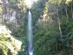 Menembus Hutan Belantara Demi Liburan ke Coban Rais