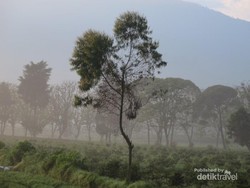Menengok Desa Tarumajaya, Tempat Hulu Citarum Berada
