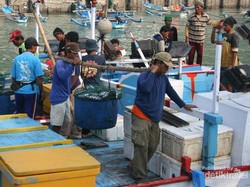Menengok Hasil Melaut Nelayan di Pantai Sadeng, Gunungkidul