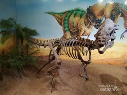 Menengok Jejak Dinosaurus di Asia Tenggara