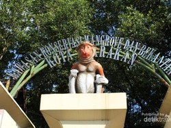 Menengok Si Bule di Tengah Kota Tarakan
