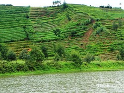 Menentramkan Jiwa di Desa Tertinggi Pulau Jawa