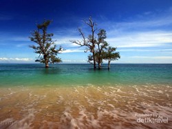 Mengabadikan Keindahan Indonesia dalam Bidikan Kamera