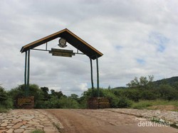 Mengembara di Alam Liar Afrika, Seru Banget!