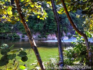 Mengenal Ekowisata Tangkahan, Lokasi Syuting Lagu Adu Rayu