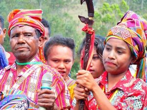 Mengenal Pesta Panen dari Negeri Para Usif NTT