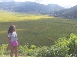 Mengenal Sawah Berbentuk Jaring Laba-Laba di Flores