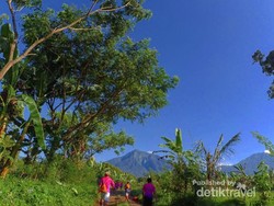 Mengenang Keseruan Ijen Green Run 2018