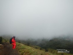 Menggapai Langit di Puncak Gunung Sumbing, Dahsyat!
