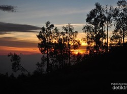 Menggapai Langit di Puncak Gunung Welirang