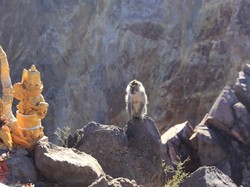 Menggapai Puncak Tertinggi di Bali