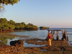 Menginap di Tengah Taman Nasional, Seru Banget!