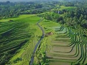 Mengintip Keindahan Desa Wanagiri Kauh di Tabanan Bali