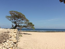 Mengintip Sang Perawan dari Gunungkidul