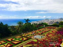 Mengunjungi Madeira, Tanah Kelahiran CR7