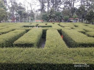 Mengunjungi Taman Labirin di Malang yang Asyik