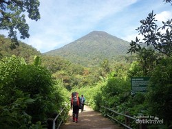 Menikmati 3 Curug Cantik di Kaki Gunung Pangrango