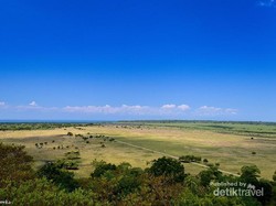 Menikmati Afrika di Taman Nasional Baluran
