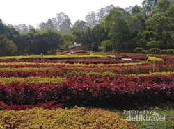 Menikmati Cantiknya Lembang di Akhir Pekan