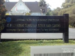 Menikmati Hawa Sejuk Kebun Raya Cibodas dan Aneka Wisatanya