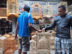 Menikmati Merdunya Kicauan di Pasar Burung Yogya