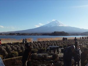 Menikmati Musim Dingin di Jepang yang Ramah Muslim
