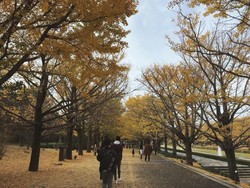 Menikmati Musim Gugur di Tokyo, Jepang