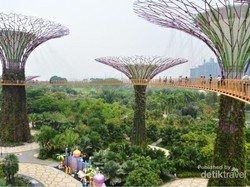 Menikmati Singapura dari Ketinggian OCBC Skyway