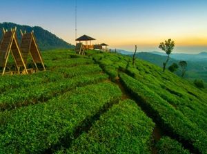 Menikmati Sunset di Wayang Windu Panenjoan, Pangalengan