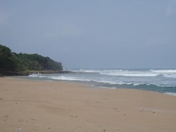 Menjamah Pantai Paling Perawan di Ujung Kulon