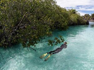 Menjelajahi Cagar Alam nan Indah di Timur Indonesia