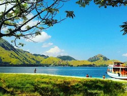 Menjelajahi Indahnya Pulau Komodo di NTT