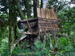 Menjelajahi Tiga Kampung Adat di NTT