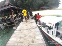 Menyelami Indahnya Alam Bawah Laut Pulau Sepa