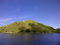 Menyelami Keindahan Bawah Laut Pulau Komodo, Sempurna!